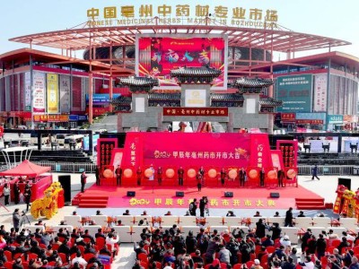 2026 国际（亳州）中医药博览暨第 42 届全国（亳州）中药材交易会