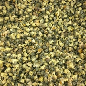 求购无公害菊花（杭白菊）