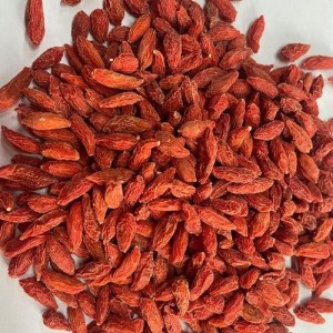 求购有机枸杞子